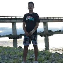 Delfin