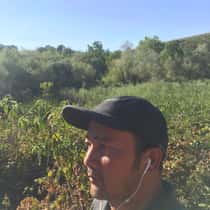 Abdul