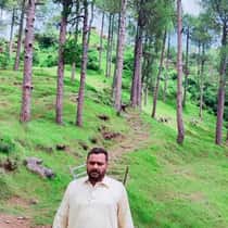 naveed