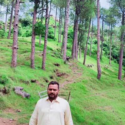 naveed