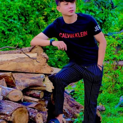 zed