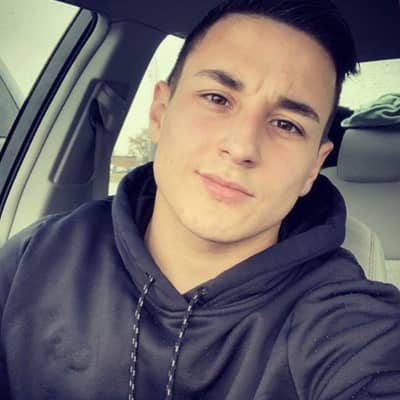 stephen mark