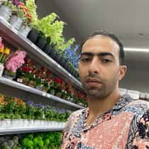 mourad
