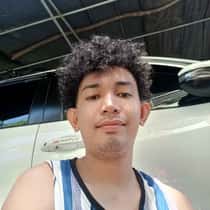 cardo