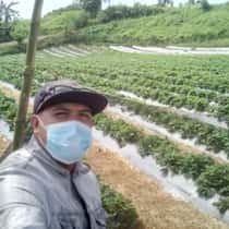 Job melgar