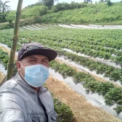 Job melgar