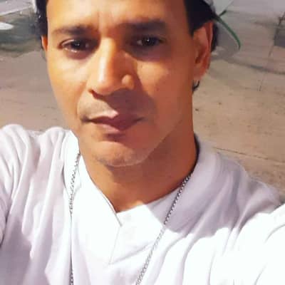 yankee