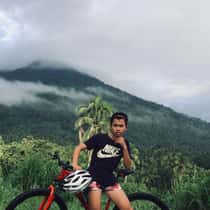 arvi