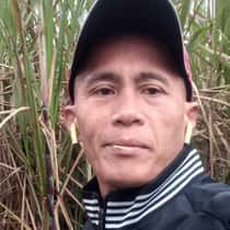 Moises