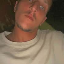 hamed
