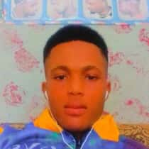 david