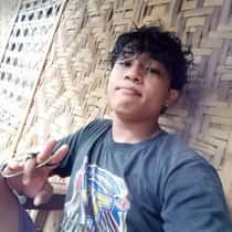 hawk