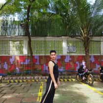 wyn