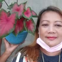 Kissme