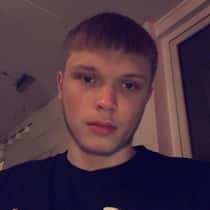 dylan