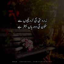 arshi1212