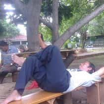 Mark Lim