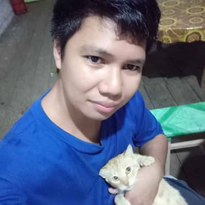Rodel