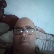 kamel