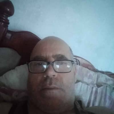 kamel