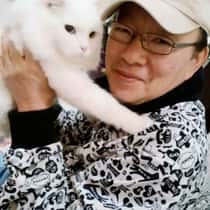 hokim