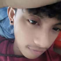 dangs