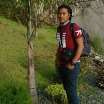 gince