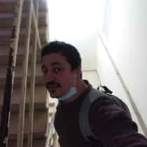 temo