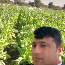 mota land