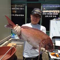 Tommy