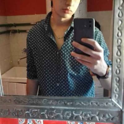Tomás M