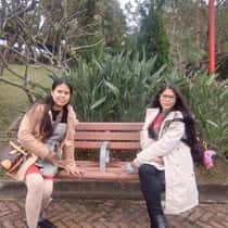 hony