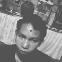 GeneFO