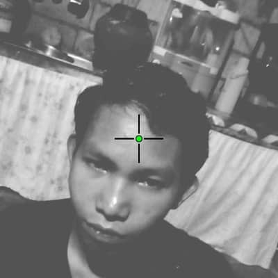 GeneFO