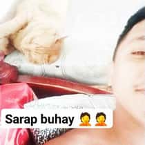 macoy