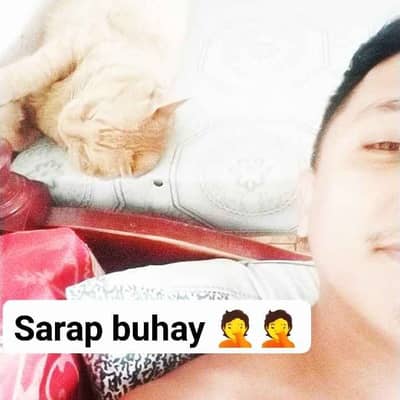 macoy