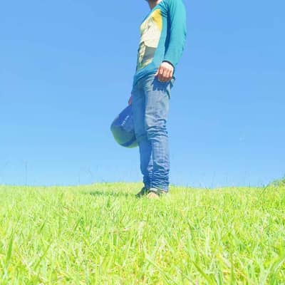 MrBijay