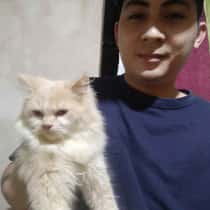 Jm