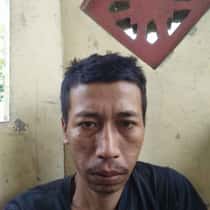 wilis