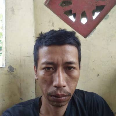 wilis