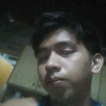 bhoxz ducks