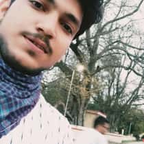 jay