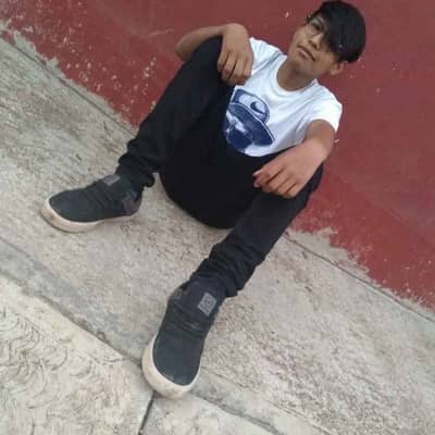 alex l