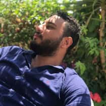 tarek