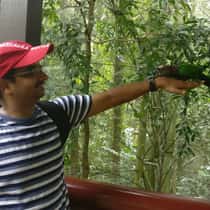 Bhanu