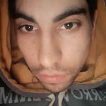 dario