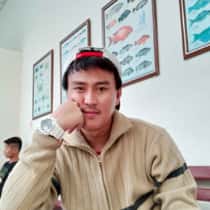gigin