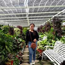 Marjorie