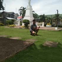 quiel