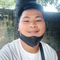 Elmark Labrador